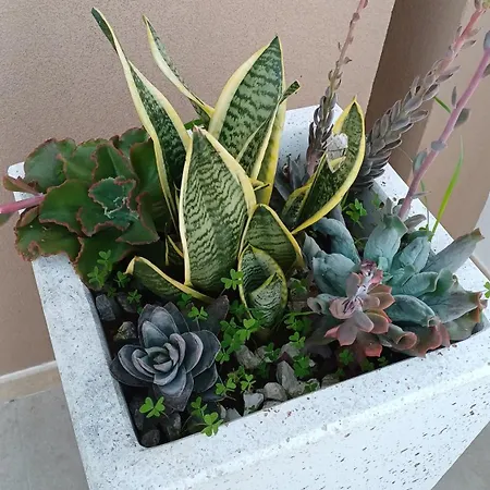 Casa Perlamare Ferienhaus *