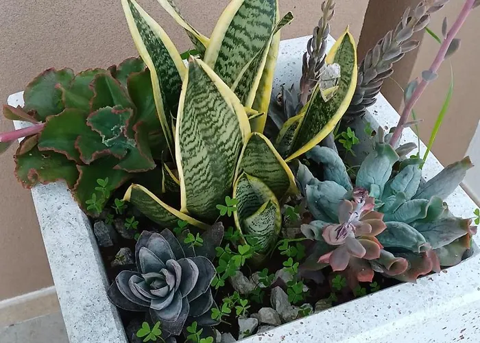 Casa Perlamare Ferienhaus *